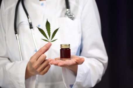 Cannabis Medicinal: Como essa planta pode ajudar no tratamento de doenças?