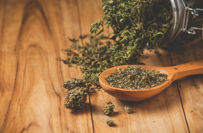 8 mitos sobre a maconha que você deveria saber