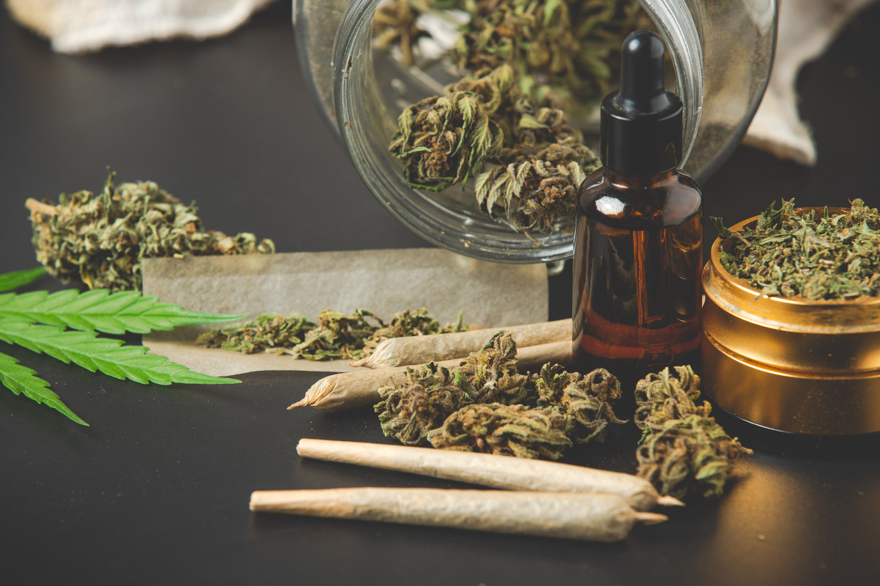 Tudo Sobre Maconha: o que é, quais os tipos e legislação