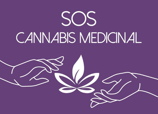  Sem muitas opções, mães e pacientes se ajudam para obter cannabis medicinal