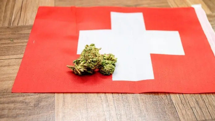 O que o Brasil tem a aprender com a Suíça sobre cannabis medicinal