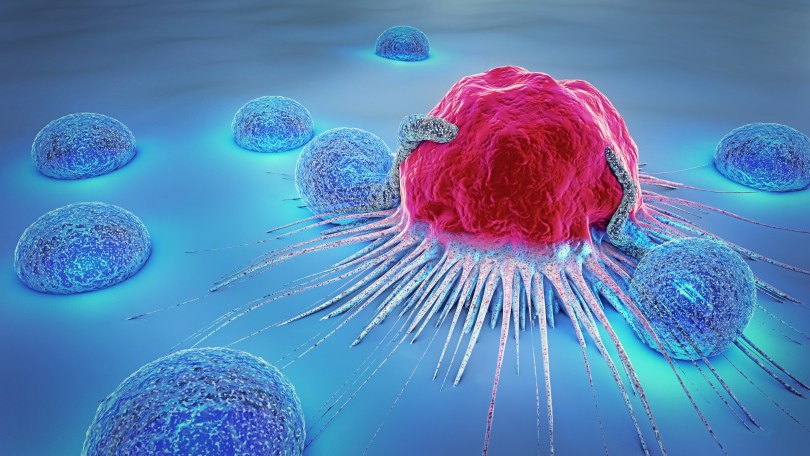  O uso de cannabigerol pode ajudar no tratamento de tumores?