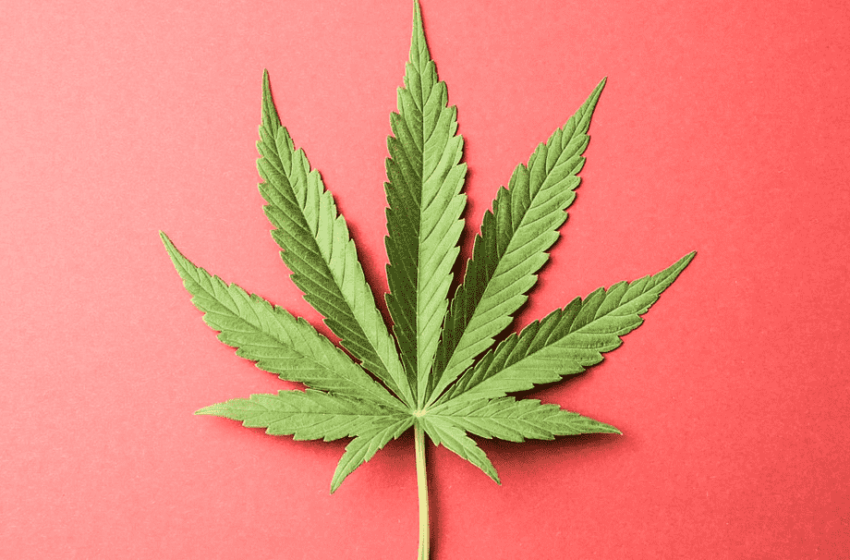 Depressão: como a cannabis pode ajudar