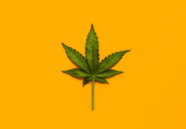 Cannabis X Dramin: Pode ser substituído?