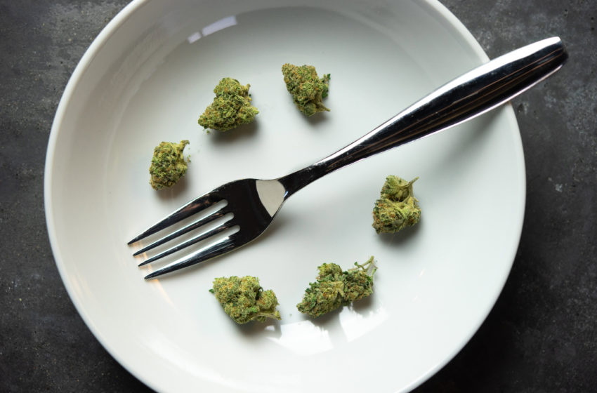 4 comestíveis de CBD incríveis e fáceis de fazer em casa