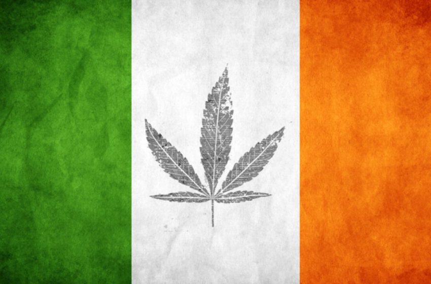 Punição mais branda relacionada a maconha é introduzida pelo governo Irlandês