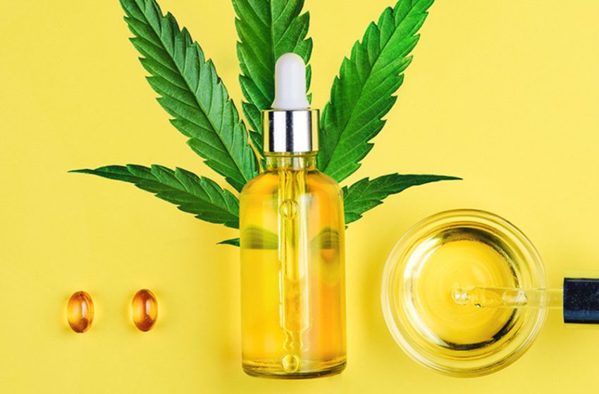 Cannabis no SUS: Será apenas um remédio e uma concentração?