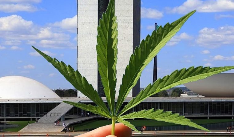  Como funciona o cenário Jurídico da Cannabis medicinal no Brasil hoje