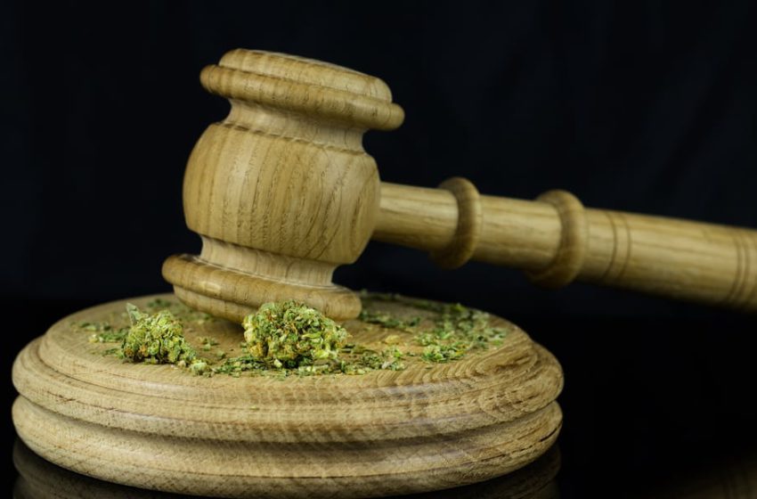  É legal importar sementes de cannabis?