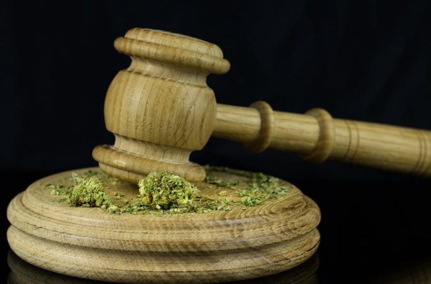 É legal importar sementes de cannabis?