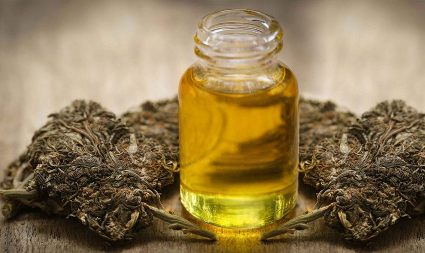 Anvisa autoriza canabidiol desenvolvido pela Fiocruz