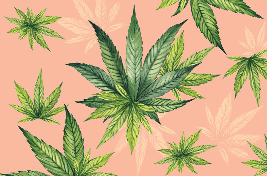  West Virginia cria um programa para pacientes de cannabis medicinal