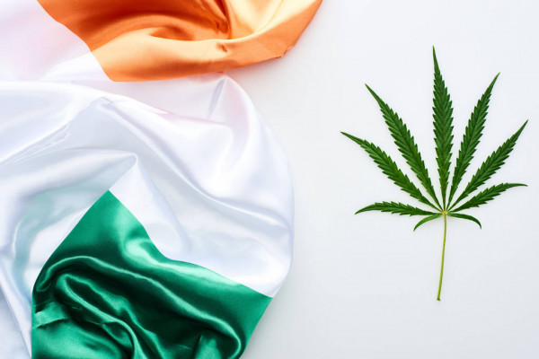 Irlanda apresenta primeiro medicamento para epilepsia derivada da cannabis