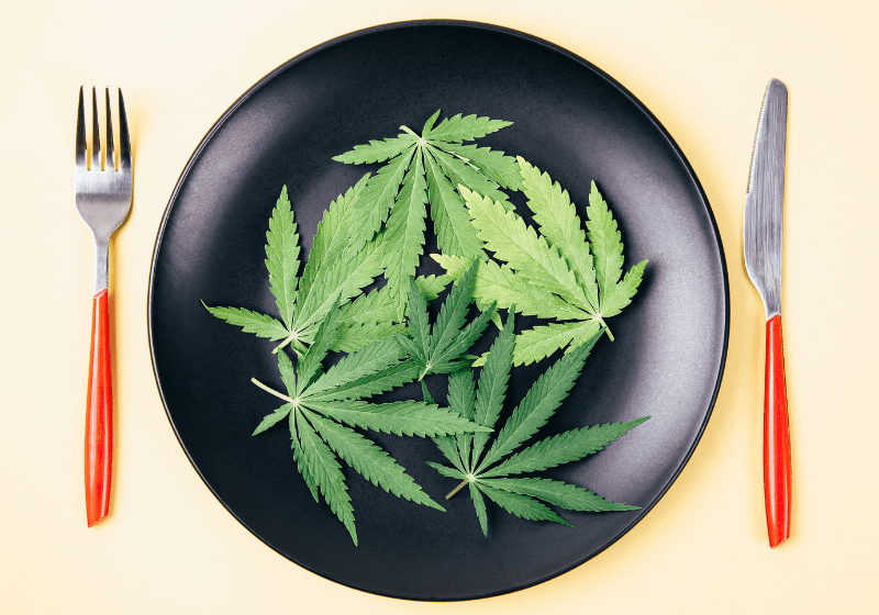 Anorexia: a cannabis pode ajudar no tratamento?