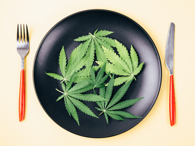 Anorexia: a cannabis pode ajudar no tratamento?