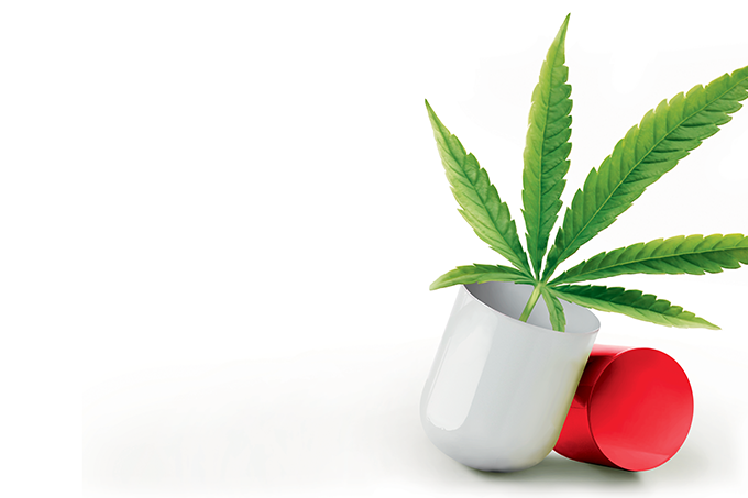 Cannabis será testada em pacientes com sequelas da COVID
