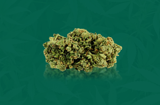 Concentrados de Cannabis: o que são e quais as diferenças