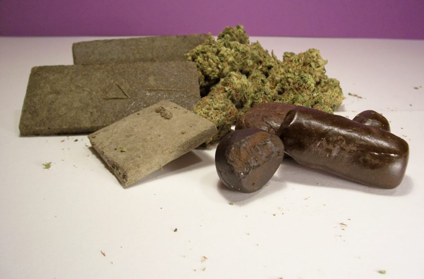 Haxixe e maconha: Quais são as diferenças?