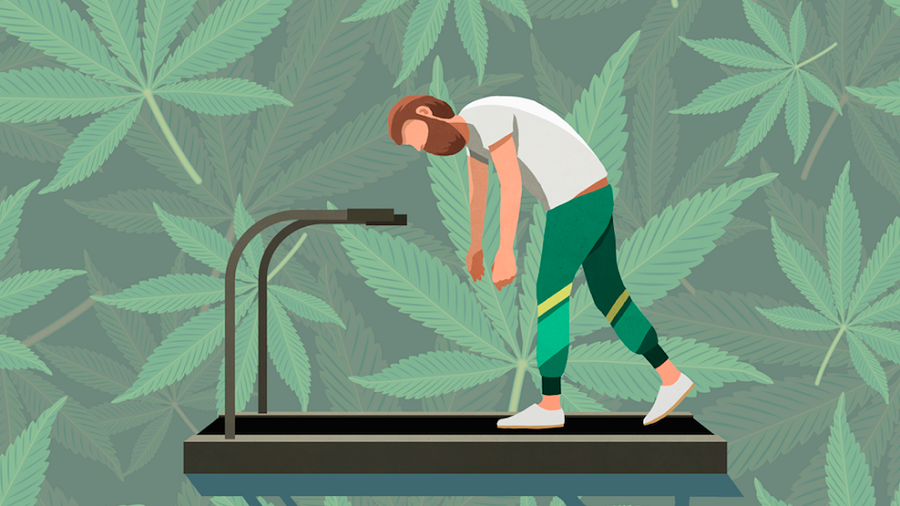 Notícias sobre Cannabis Medicinal e muito mais
