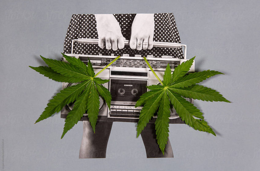 A relação da cannabis e a música