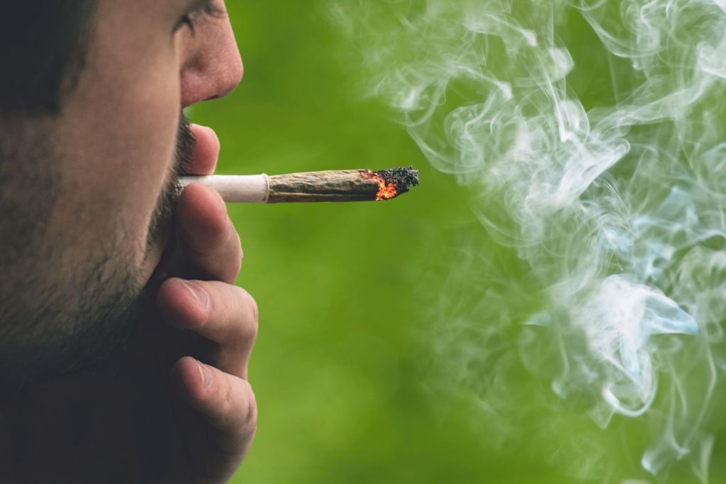 Notícias sobre Cannabis Medicinal e muito mais