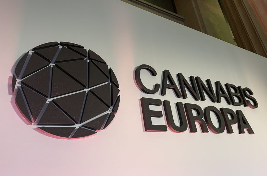  Cannabis tem se destacado como uma grande oportunidade de negócio para a Indústria Europeia