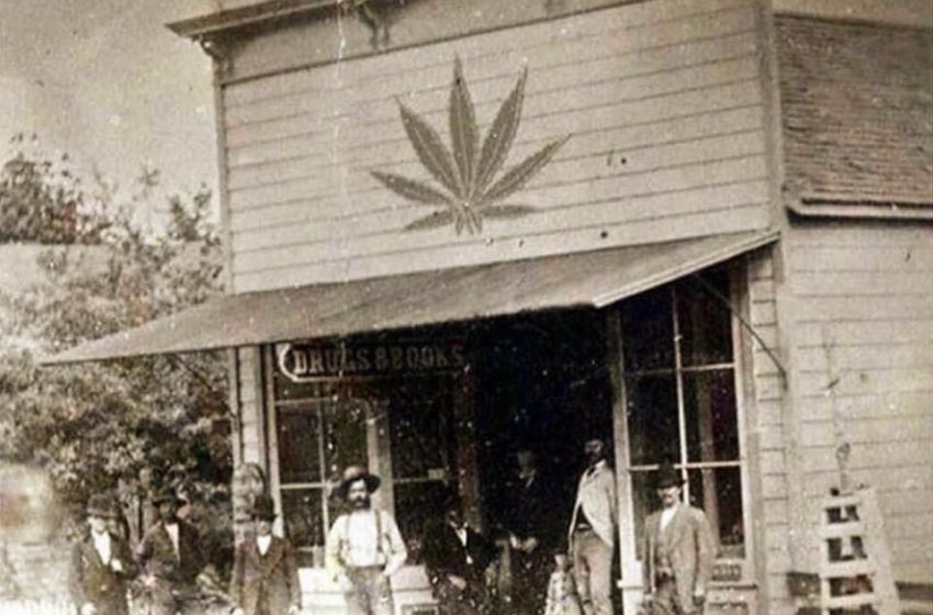 Foto sobre suposta farmácia de maconha é verdadeira ou falsa?