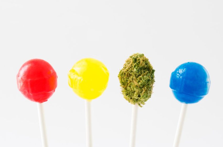 Comestíveis de cannabis são oferecidos de graça por grupos canadenses para combater o abuso de opióides