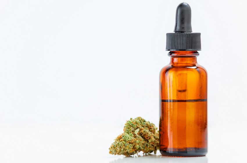 Projeto de lei visa disponibilizar medicamentos à base de cannabis em Cabo Frio