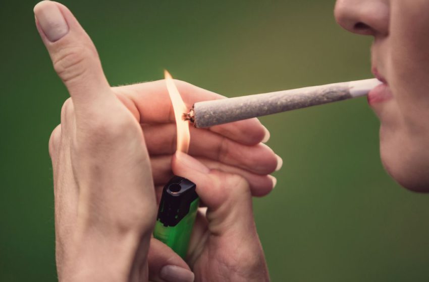 Proteínas inflamatórias podem potencializar os efeitos da maconha
