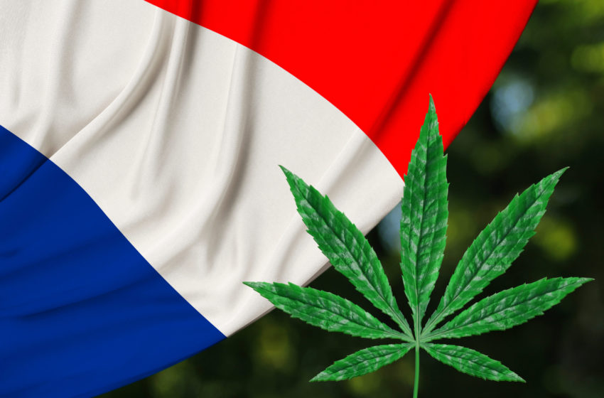  Assembleia Nacional da França rejeita projeto de legalização da cannabis