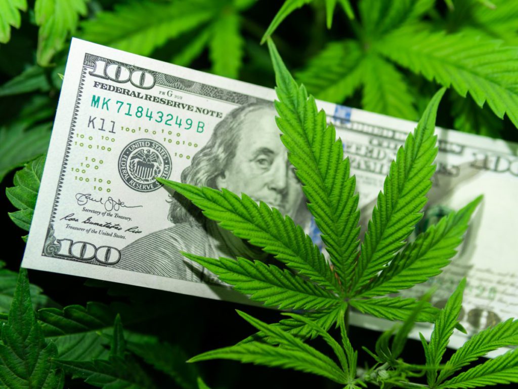 Notícias sobre Cannabis Medicinal e muito mais