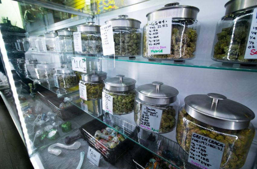 Mississipi é o 37º estado americano a legalizar a cannabis medicinal