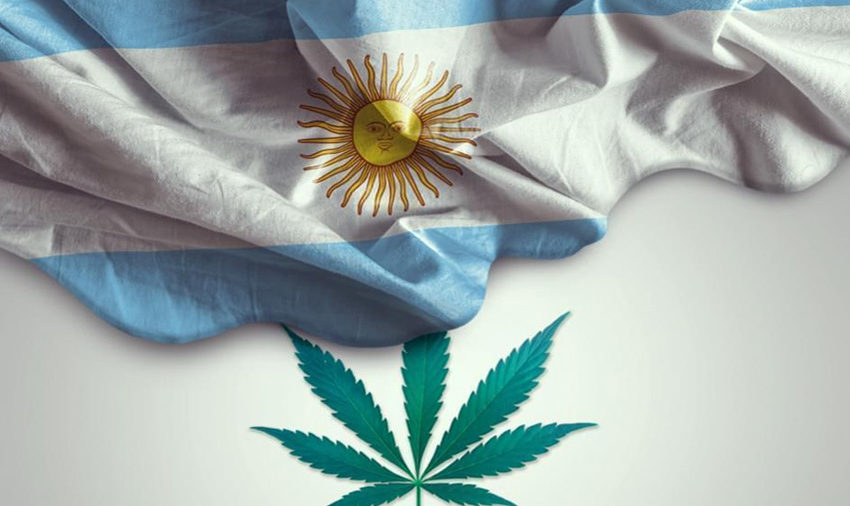  Argentina regulamenta o uso da cannabis para humanos