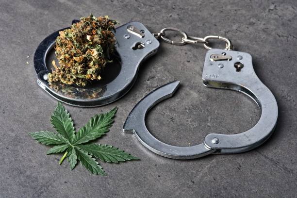 Cannabis bud and leaf with handcuffs depicting legal, law and decriminalization concepts