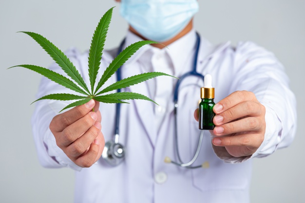  Curso capacita médicos a prescrever cannabis do zero