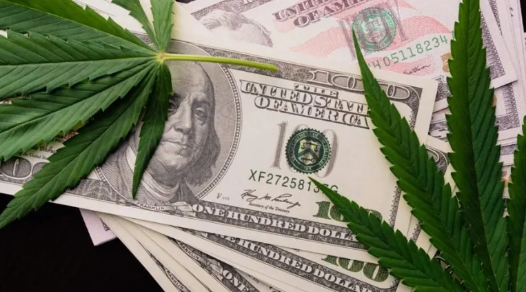 Mercado de maconha pode chegar a US$ 72 bilhões nos EUA até 2030