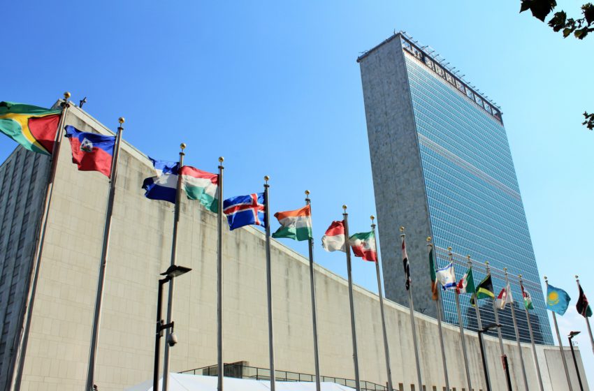 A cannabis pode ser uma solução para o desenvolvimento sustentável estabelecido pela ONU