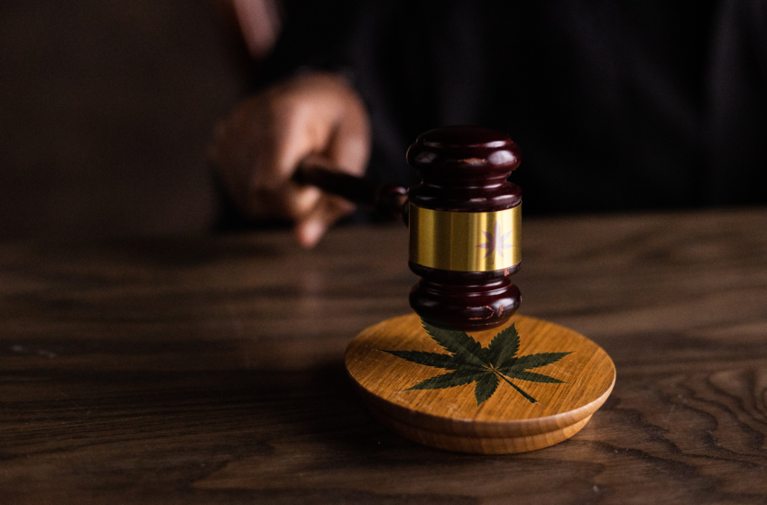  Legislativo estadual e cannabis medicinal: onde estamos?