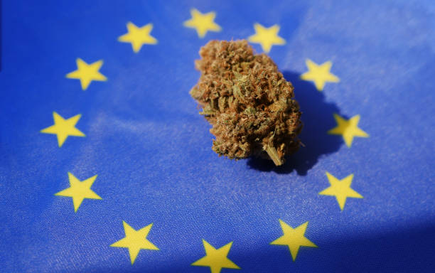Marijuana legalization in European Union
