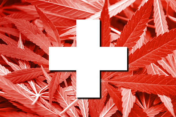  Proibição do uso medicinal da cannabis é suspenso na Suíça