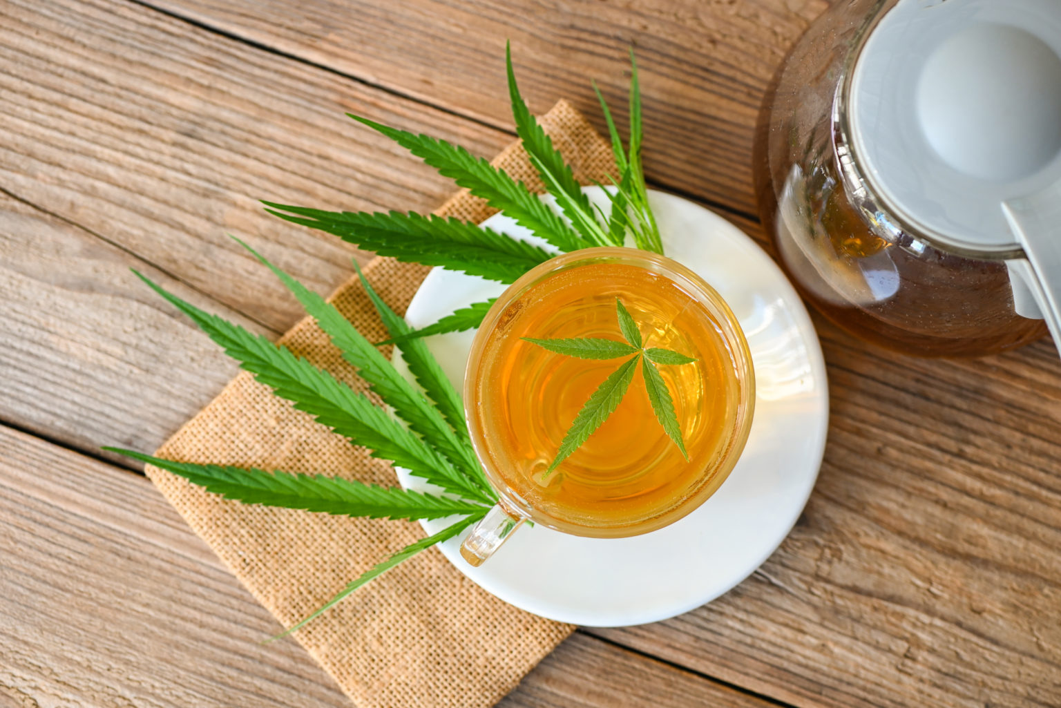 Chá de cannabis é medicinal? - Cannalize