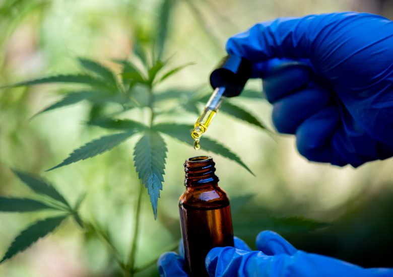 Researcher hold a bottle of hemp oil, marijuana products for med